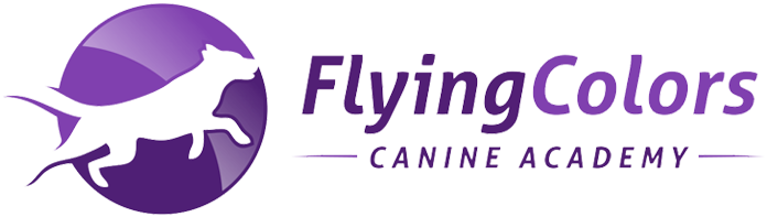Flying Colors Logo