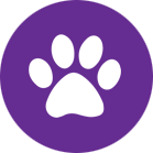 dog paw icon