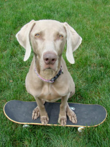 Kona practices "Place" on a skateboard