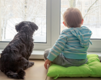 Ten Steps to Prepare Your Dog for the New Baby