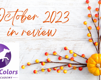 October 2023 In Review